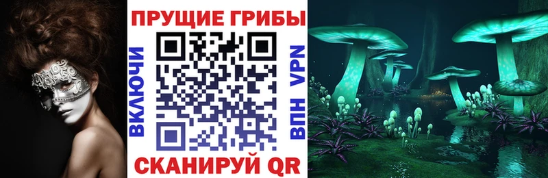 Псилоцибиновые грибы Psilocybe Верхняя Салда